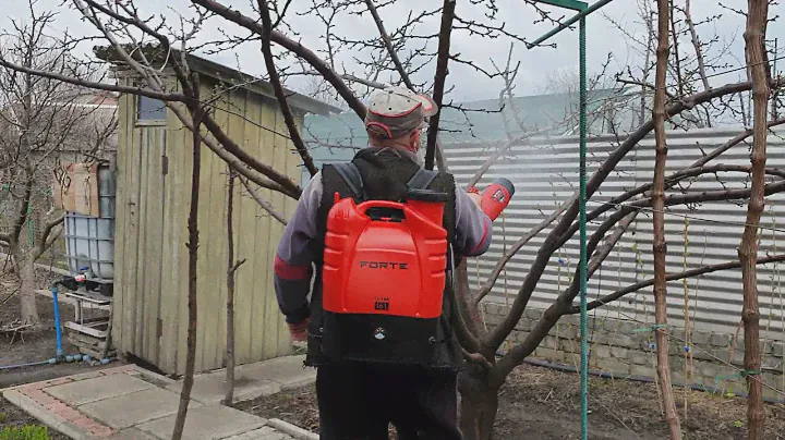 Обработка деревьев с помощью опрыскивателя с пушкой