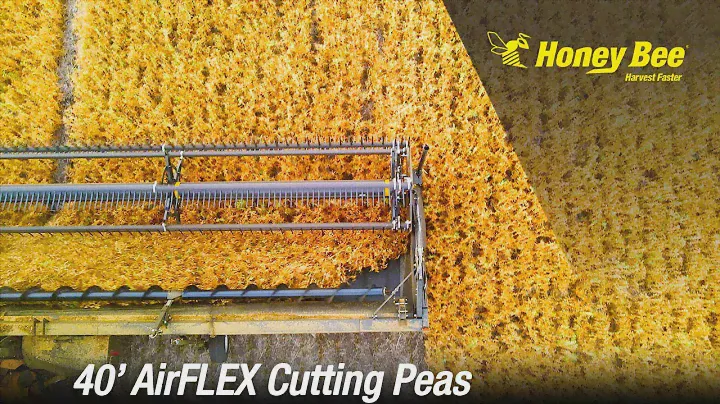 AirFLEX Demo | Peas | New Holland | Drone Shots